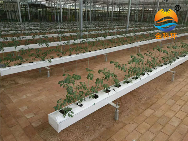 国产麻豆黄色网站草莓栽培槽