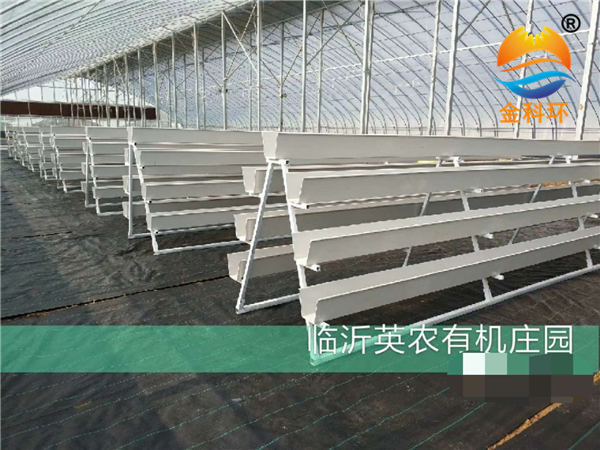 草莓麻豆APP下载入口25