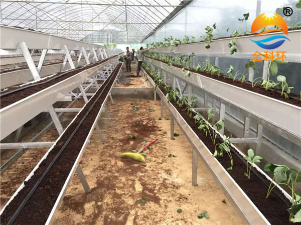草莓麻豆APP下载入口38
