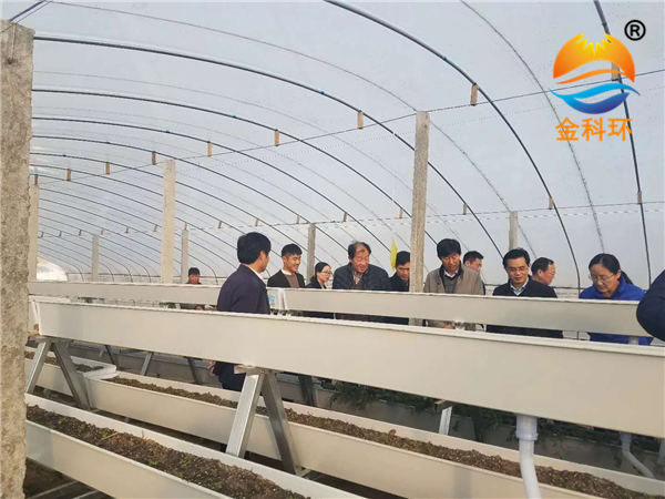 草莓麻豆APP下载入口39