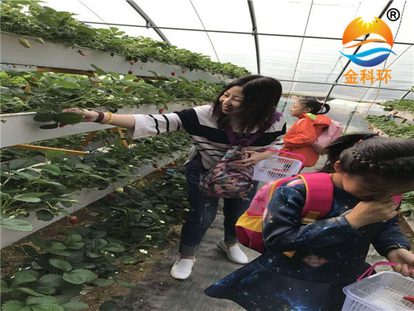 草莓麻豆APP下载入口26