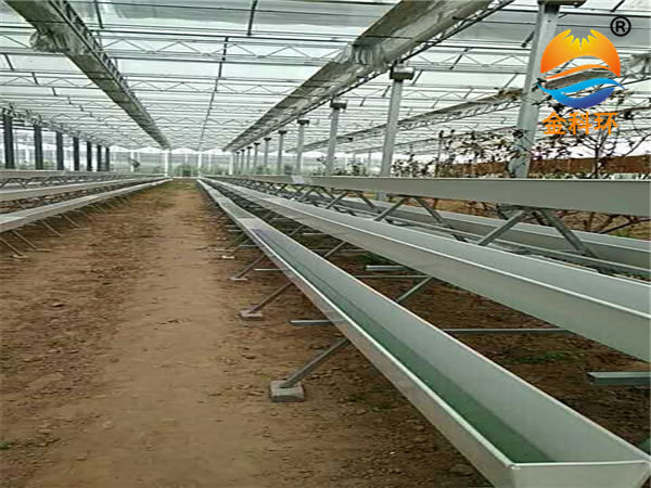 草莓麻豆APP下载入口42