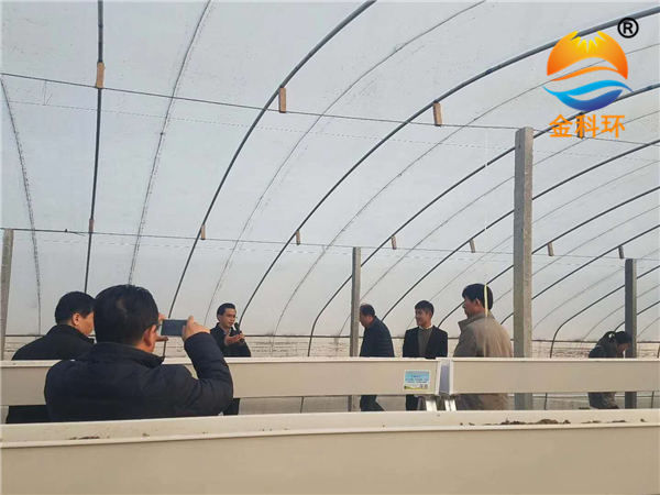 草莓麻豆APP下载入口16