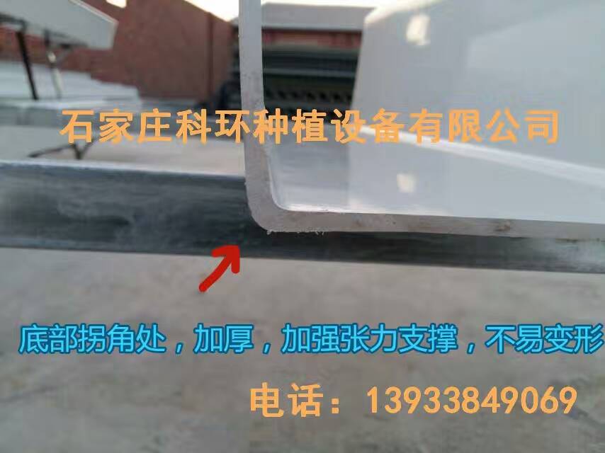 国产AV片毛片麻豆久久产品特点2
