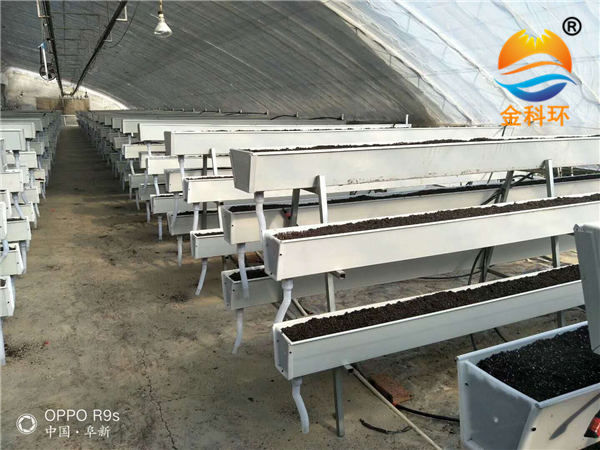 草莓麻豆APP下载入口1